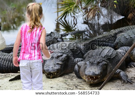 Little girl feeds alligators