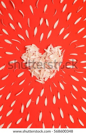 Heart shape handmade of gerbera floral petals on red for Valentine's Day