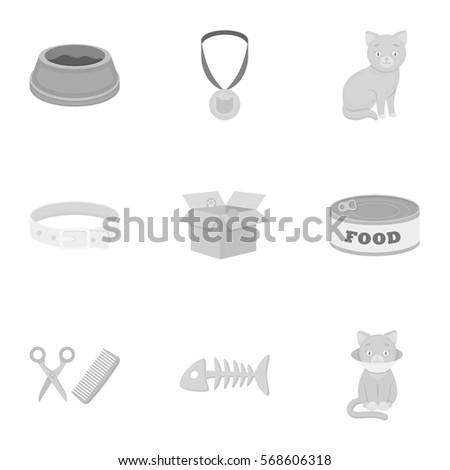 Cat equipment set icons in monochrome style. Big collection of cat equipment vector symbol stock illustration