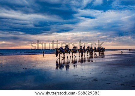 Cable Beach, Western Australia. Camels on the shore at sunset Royalty-Free Stock Photo #568629583