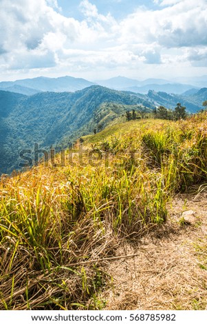 Mountain view of Phu Chi Fa at Chiangrai province, Thailand.
