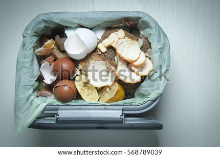 Overhead shot of a domestic food composting bin containg eggshells, peel, lemon and bread Royalty-Free Stock Photo #568789039