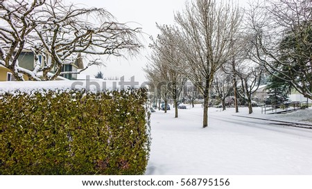 Streets of Vancouver at Wintertime - CANADA