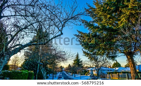 Trees in Snow - Streets of Vancouver at Wintertime - CANADA