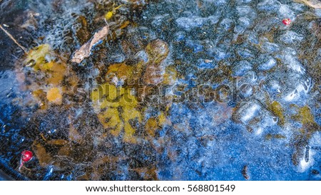 Decorative frozen Pool with Leaves, Red Berries & Grass