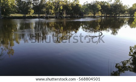Swan Valley, Perth Vineyard, Western Australia during summer.