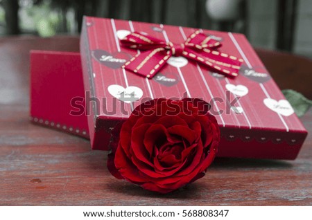 rose flower with gift box background for Valentine's Day