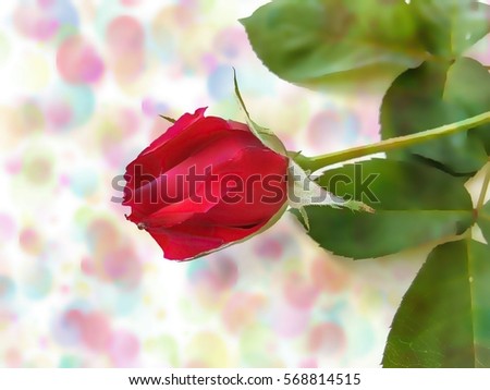 Abstracts beautiful red rose flower water color filters images backgrounds