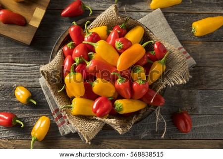 Raw Organic Mini Sweet Peppers Ready to Eat Royalty-Free Stock Photo #568838515