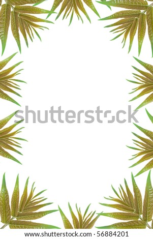 green leaves frame with white background with copy space