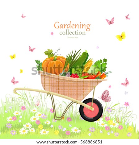 rustic garden wheelbarrow with vegetables and herbs on lovely meadow for your design