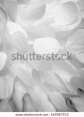 White abstract shapes cascade as if petals from a flower. Royalty-Free Stock Photo #569087953