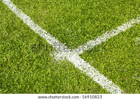 football field with green grass and white line