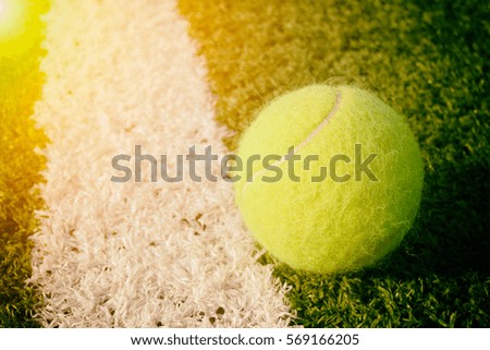 Tennis ball in summer sunset