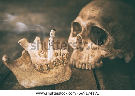 Still life skull and cigarette burned with smoke on wood.