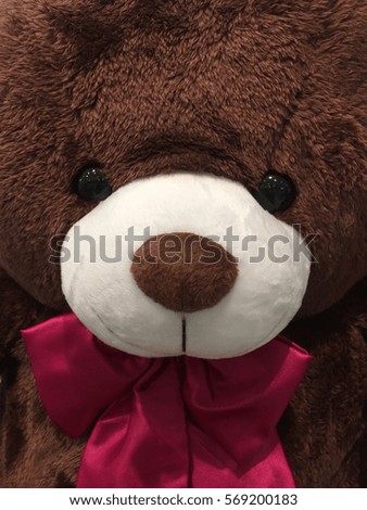 Page teddy bear