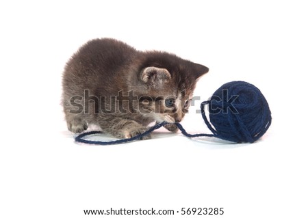 Cute tabby kitten playing with ball of blue yarn on white background