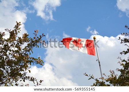 Flag of Canada flying against a summer blue sky. Canadian flag waving on the wind. Unfiltered, with natural lighting.