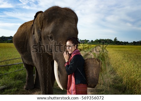 Beautiful women dressed in the gui traditional and the elephant Thailand.