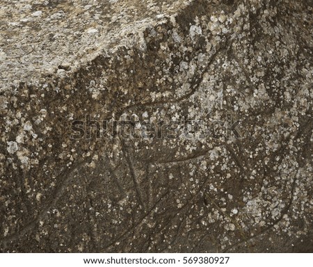 Petroglyphs in Gobustan National Park. Azerbaijan 