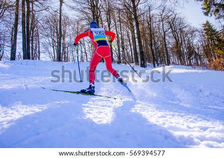 Nordic ski athlete on the snowy track in beautiful nature - sport active photo - Illustration picture for winter olympic game in pyeongchang 2018