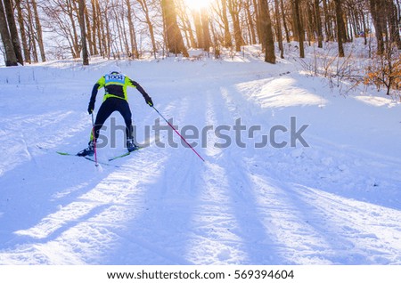 Nordic ski athlete on the snowy track in beautiful nature - sport active photo