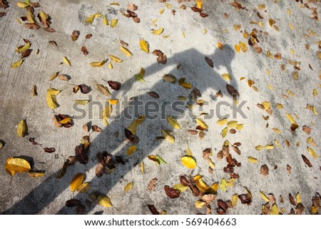 Fallen leaves on the ground with the shadow of a photographer.