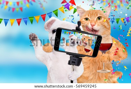 Cat and dog are celebrating with wine glass.  Cat and dog taking a selfie together with a smartphone.