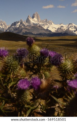 fitz roy peak, patagonia argentina