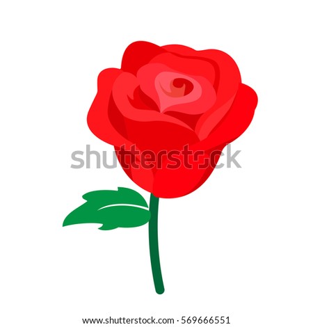 rose flower illustration, vector