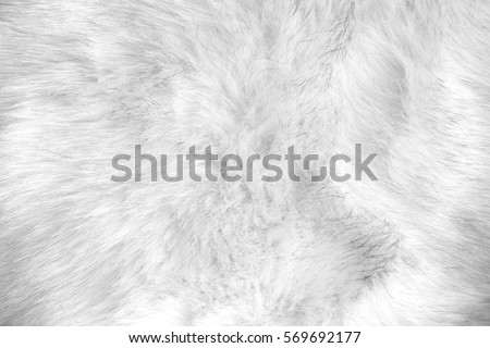 white artificial fur texture Royalty-Free Stock Photo #569692177
