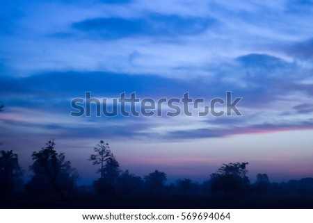 Retro medium format photo. Landscape of forest as twilight sky timing. Grain, blur added as vintage effect for your illustration, Forest as twilight sky timing blurred background