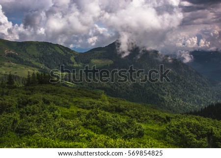 colorful summer landscape in the mountains, wonderful world