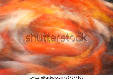 Motion blur of colorful carp fish or koi fish in a garden pond in Chengdu, China. (Abstract)