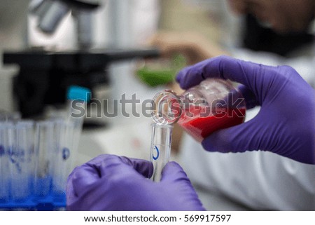 Researcher or scientist or doctoral student pours red and green chemical compounds in biotechnology laboratories