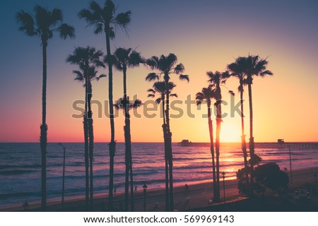 California Beach Sunset Royalty-Free Stock Photo #569969143