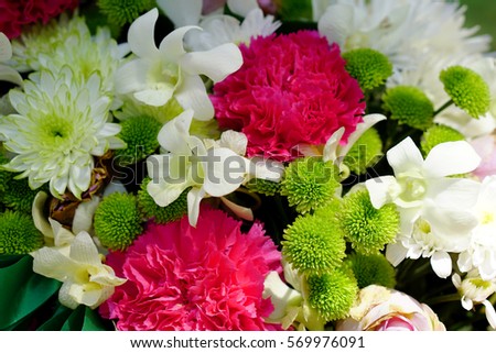 Blooming white and pink flowers bunch