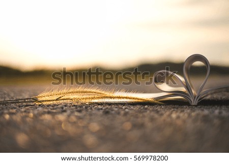 Conceptual valentines image of beautiful sunset scenery. Shallow depth of field shot of a weeds and a book represent as a love sign over a sun bath glowing road. Focus on the book and interest weeds.