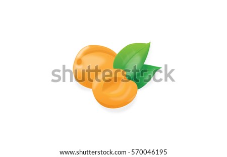 Apricot with green leaves