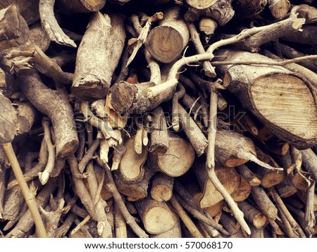 Branches and logs cut and stacked in a garden. Natural concept and organic texture.