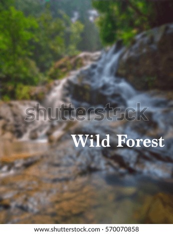 Word WILD FOREST written on waterfall Motion Blur Background