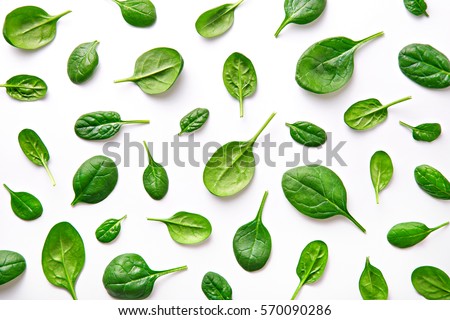 Spinach pattern background on white. Top view Royalty-Free Stock Photo #570090286