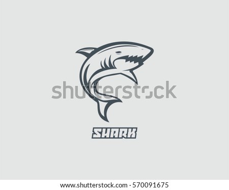 Shark Vector illustration