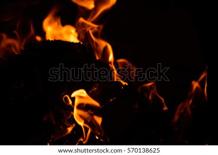 Fire flame on the black background.Fire in darkness.