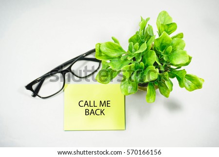 Top or flat lay view of A green plant and a pen on a white background with a words CALL ME BACK on sticky note.