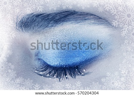 Professional makeup. Female eye, closeup