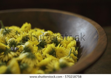 CIRCA 2010: yellow chrysanthemum flowers in wooden bowl