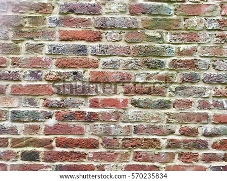 It's a lovely beautiful brick wall. Black, green, grey, purple, red and white brick. Can use it as a wallpaper, background, texture and arts style.