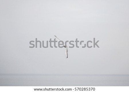 Seagull flying over the sea in cloudy day
