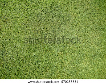 Golf course, natural green grass, top view